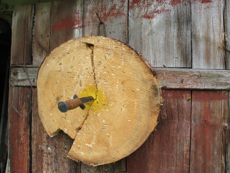 Отдых на хуторе, меткое попадание