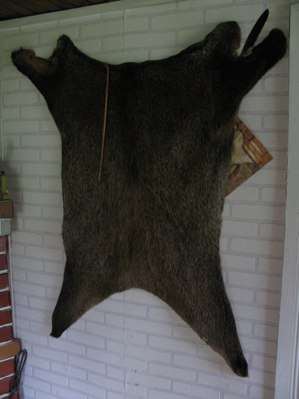 вражеский шпион