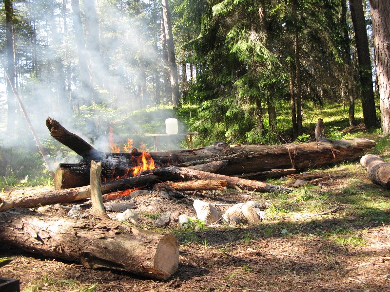 Отдых в Эстонии, Матсиранд (пляж Матси, Matsirand). Большие дрова