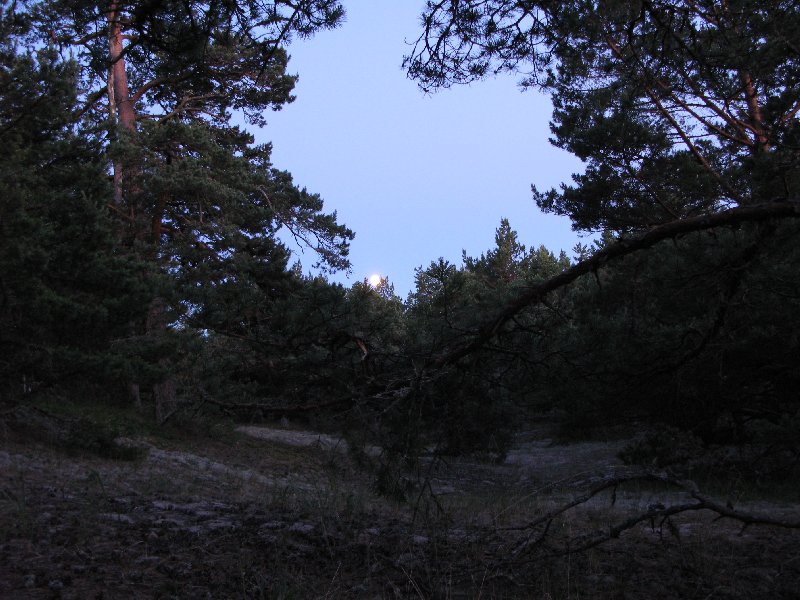 Отдых в Эстонии, Матсиранд (пляж Матси, Matsirand)