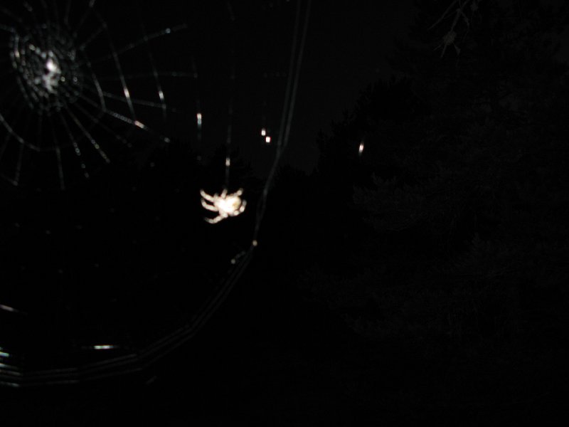 Отдых в Эстонии, Матсиранд (пляж Матси, Matsirand)