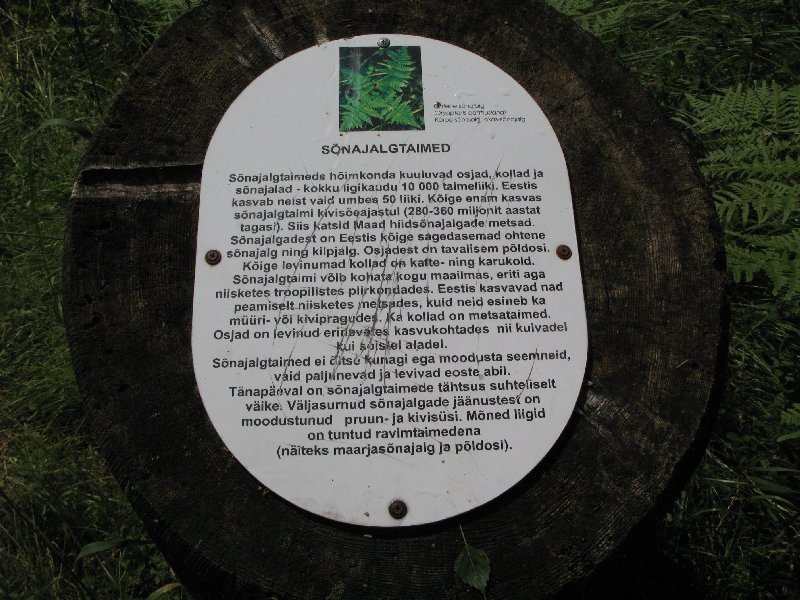 озеро Рае (Rae järv). Информационная табличка