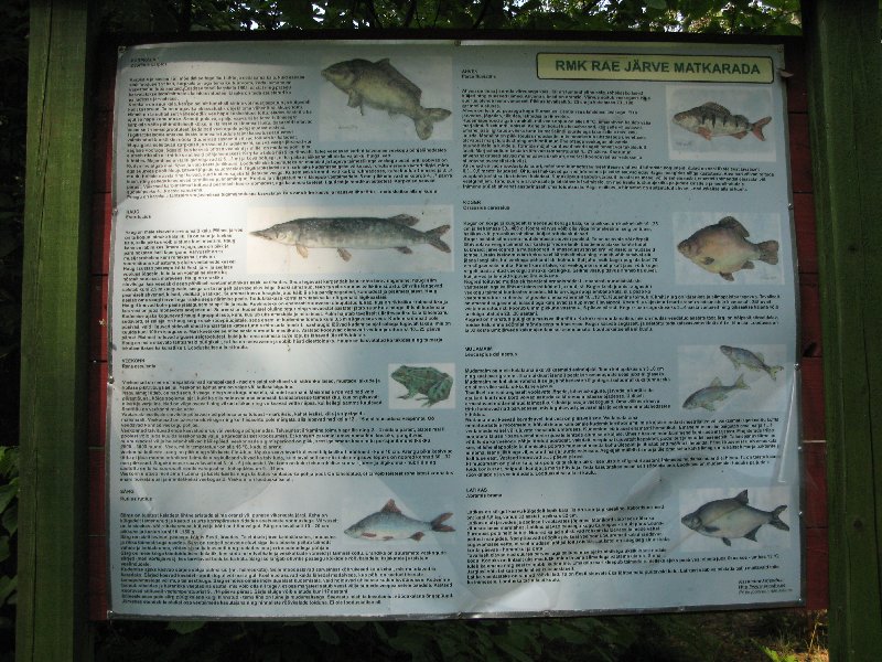 озеро Рае (Rae järv). Информационный щит