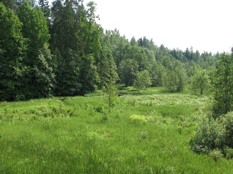 озеро Рае (Rae järv)