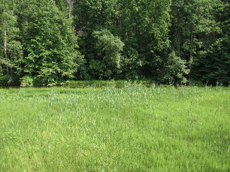 озеро Рае (Rae järv)