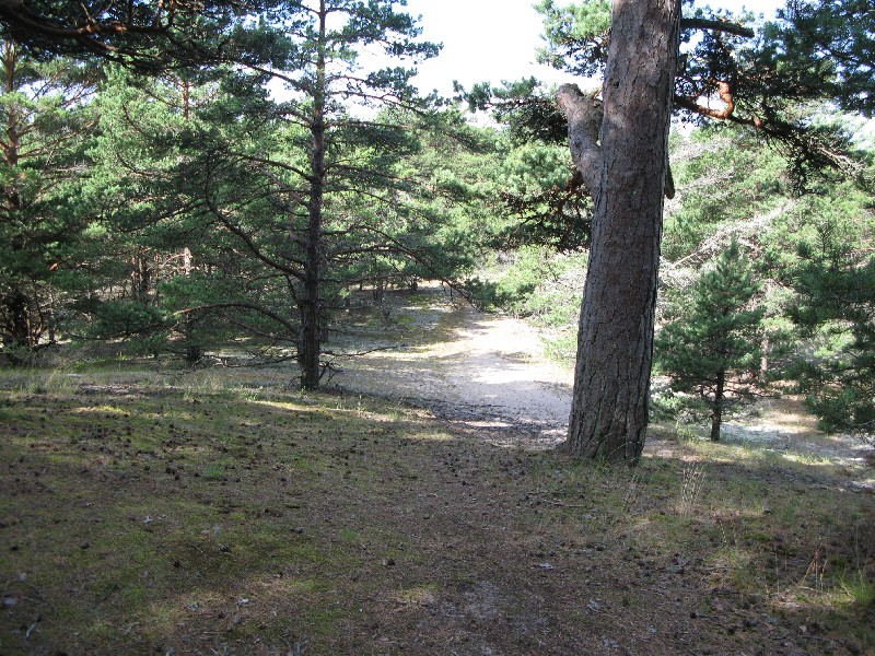  Matsirand 2009. Puhka Eestis, Matsi rand.