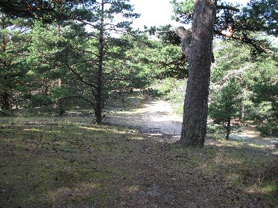 Матсиранд (пляж Матси). Matsi rand