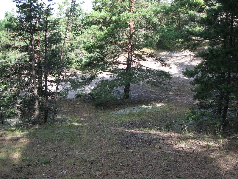  Матсиранд 2009. Отдых в Эстонии, Матсиранд (пляж Матси, Matsirand).