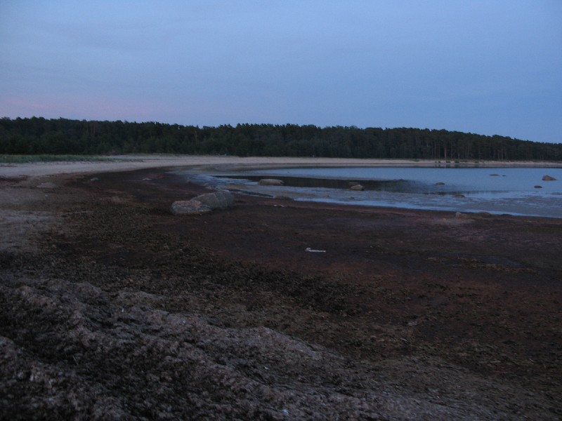 Заболоченый край пляжа. Матсиранд 2009. Отдых в Эстонии, Матсиранд (пляж Матси, Matsirand).