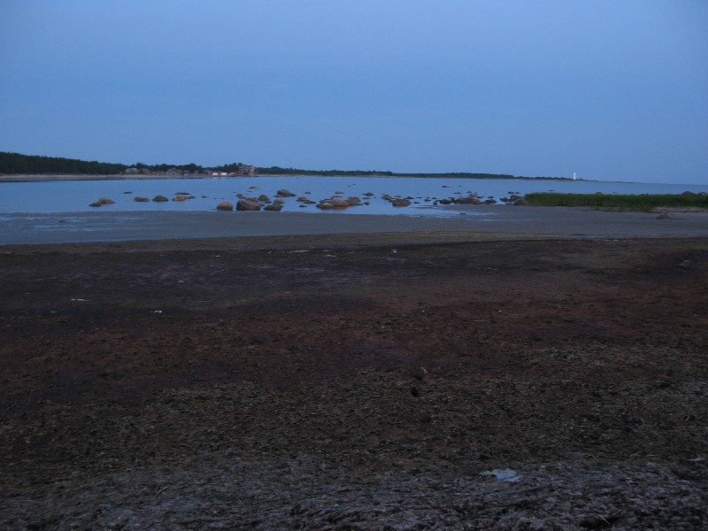 Заболоченый край пляжа. Матсиранд 2009. Отдых в Эстонии, Матсиранд (пляж Матси, Matsirand).