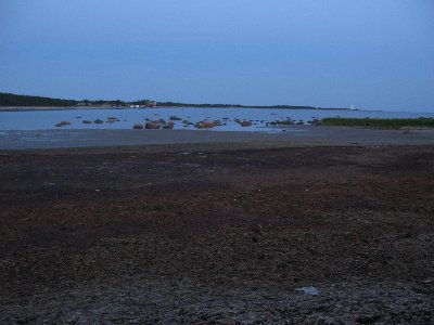 Матсиранд (пляж Матси). Matsi rand