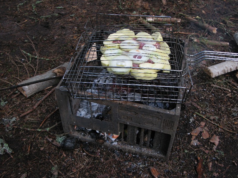 Мангал.  Матсиранд 2009. Отдых в Эстонии, Матсиранд (пляж Матси, Matsirand).
