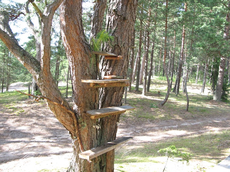  Матсиранд 2009. Отдых в Эстонии, Матсиранд (пляж Матси, Matsirand).