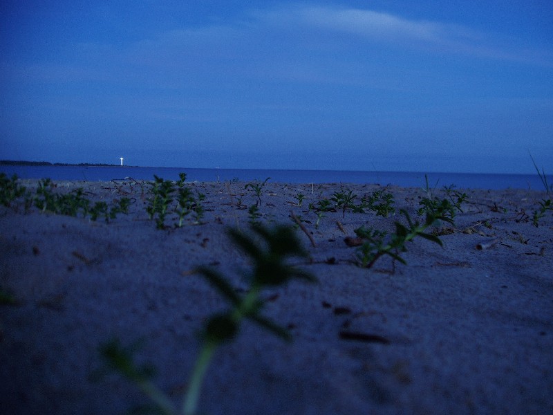 Берег и маяк.  Матсиранд 2009. Отдых в Эстонии, Матсиранд (пляж Матси, Matsirand).