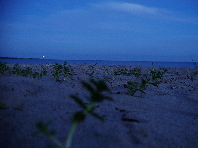 Матсиранд (пляж Матси). Matsi rand