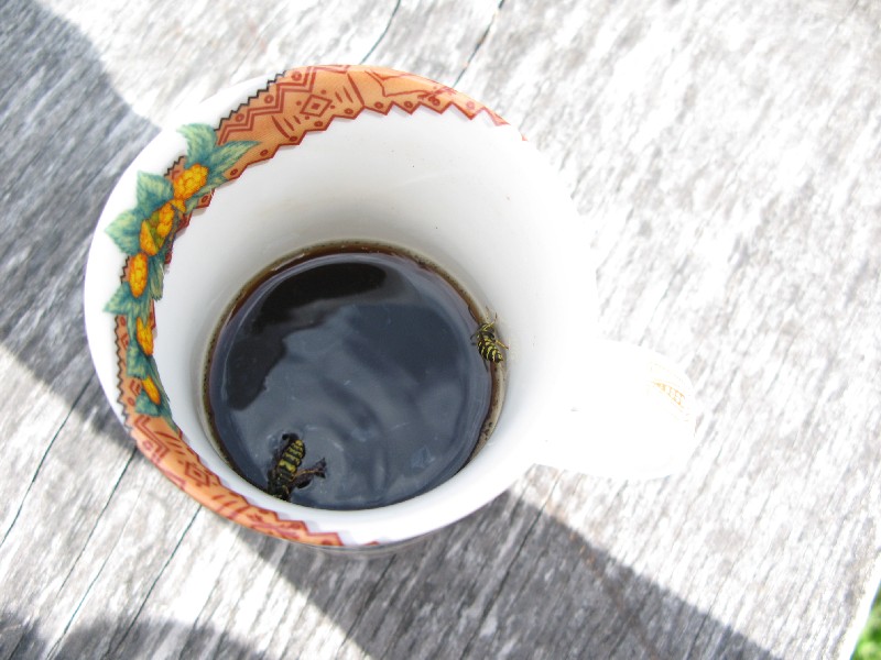 Халявщики. Алатскиви Эстония (Alatskivi Eesti), ножи ручной работы