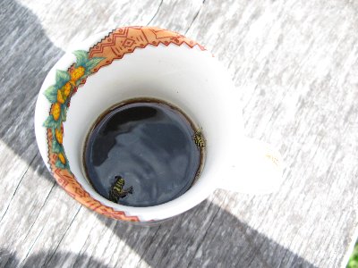 Алатскиви. Alatskivi.