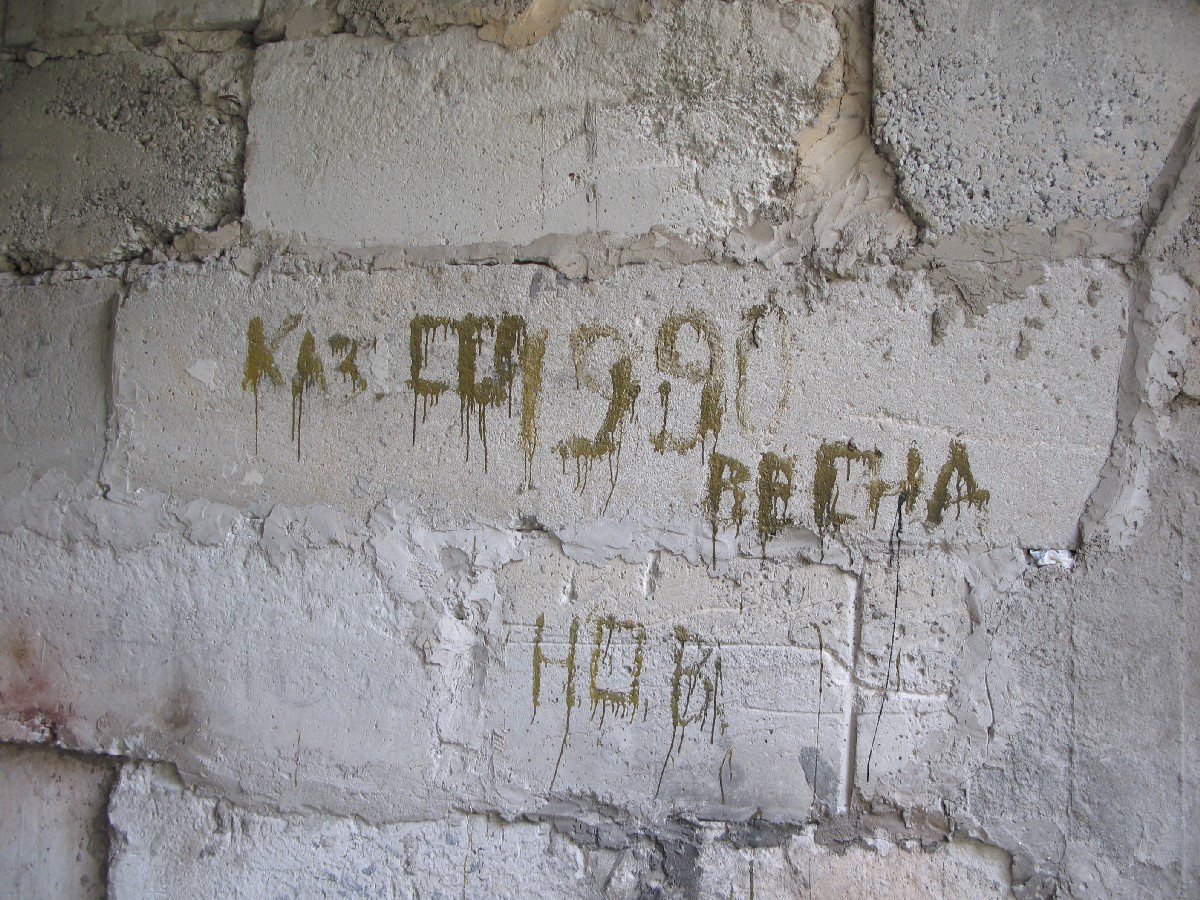 ДМБ.  Куллипеса.