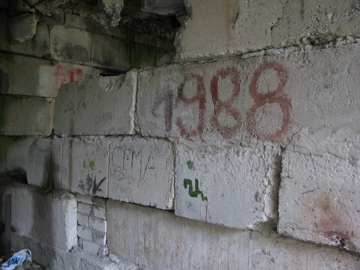 ДМБ.  Куллипеса.