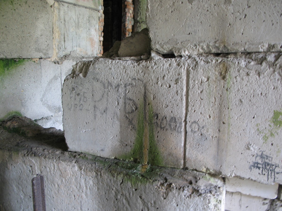 ДМБ.  Куллипеса.