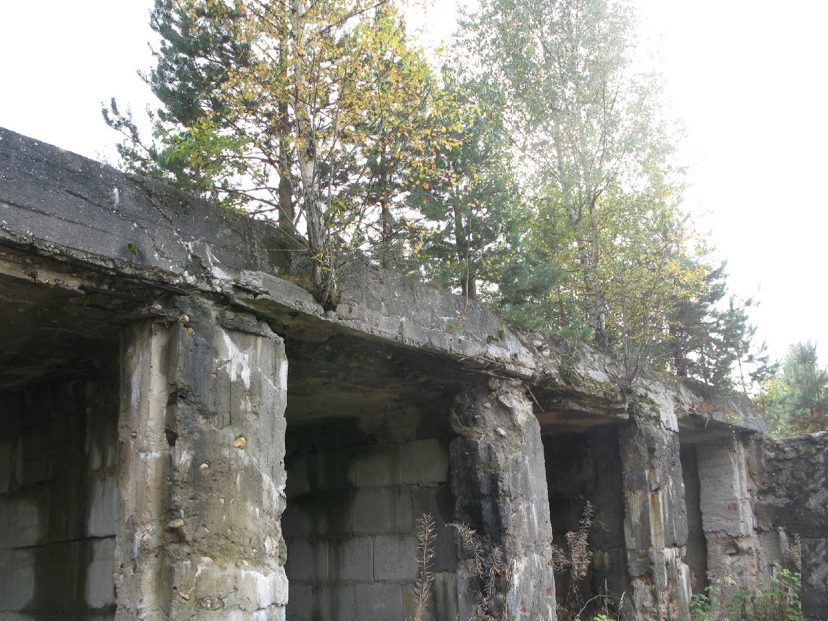 Снова гаражи.  Куллипеса.