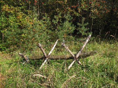 Куллипеса, Kullipesa