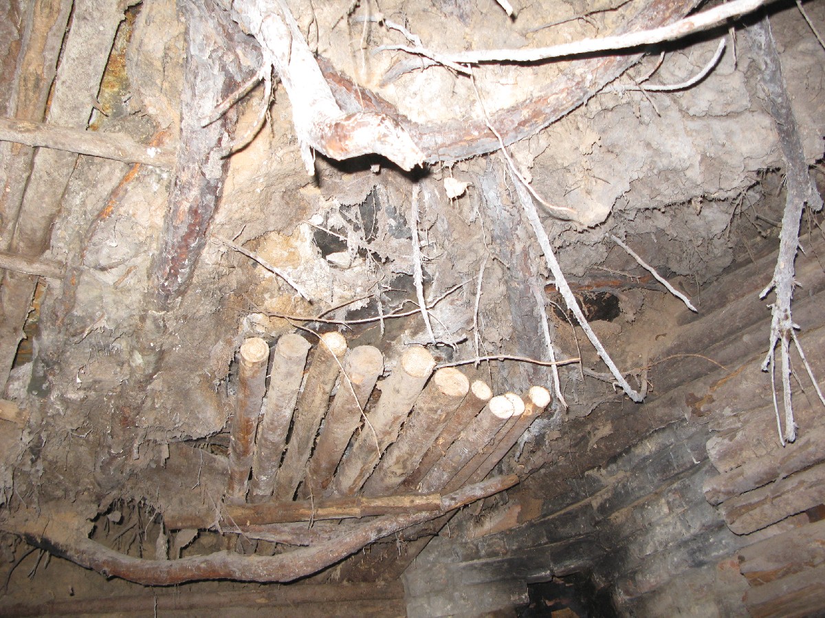 Настоящая нора лесного брата. Мустйые Кыртситалу (Mustjõe Kõrtsitalu).