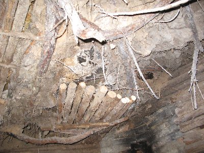 Мустйые кыртситалу (Mustjõe Kõrtsitalu)