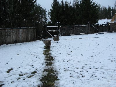 Мустйые кыртситалу (Mustjõe Kõrtsitalu)