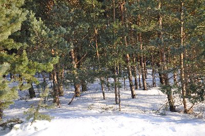 Зимний пляж Матси (Матсиранд)