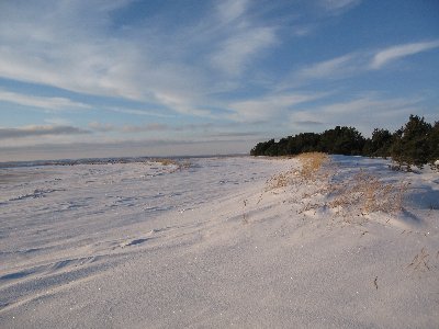 Matsi beach on winter (Matsirand)