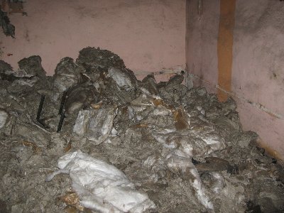 Катакомбы Лаагри. 59.344466,24.631305