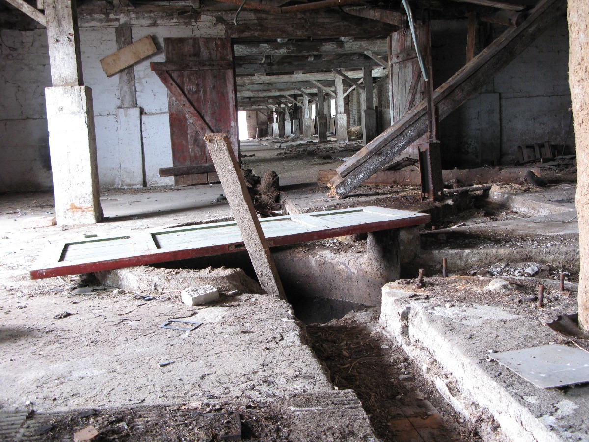  Выезд на природу, заброшенный хлев. В районе деревни Винтсе (Vintse).