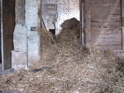 Заброшенный хлев.