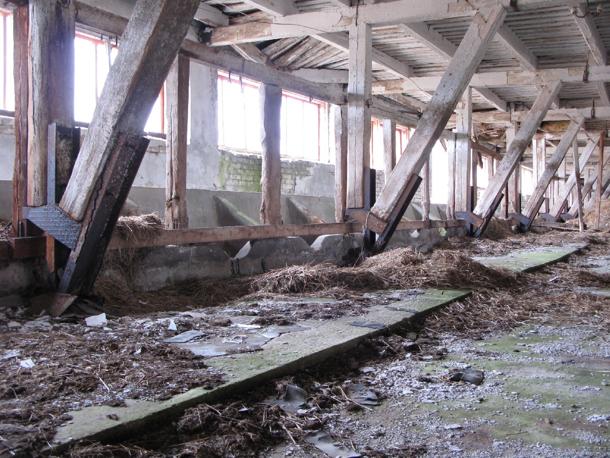  Выезд на природу, заброшенный хлев. В районе деревни Винтсе (Vintse).