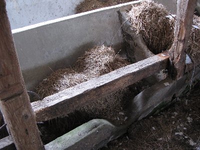 Заброшенный хлев.