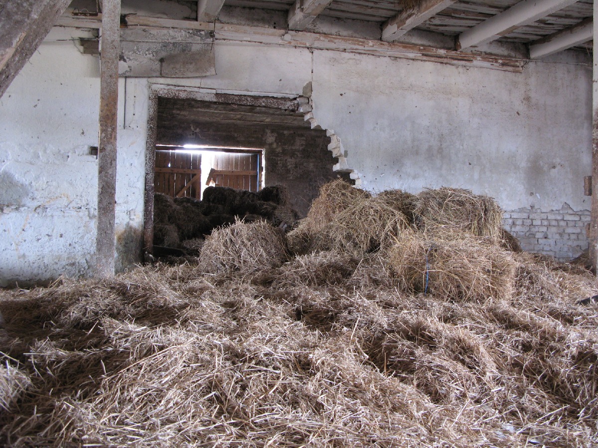  Выезд на природу, заброшенный хлев. В районе деревни Винтсе (Vintse).