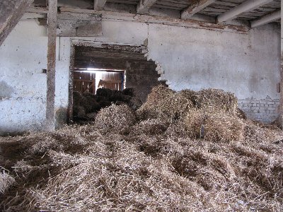 Заброшенный хлев.