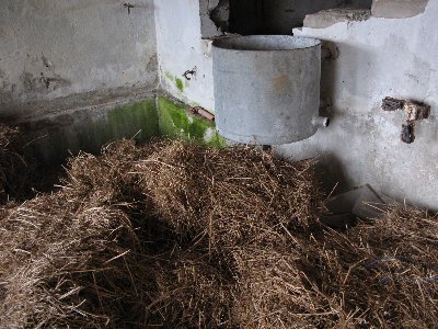 Заброшенный хлев.