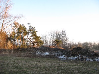 Весенний город Пярну.