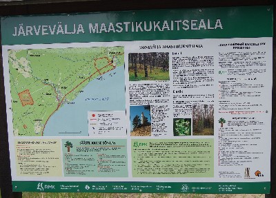 Ива́нов день (ночь на Ивана Купалу) в Раннапунгерья. 2011