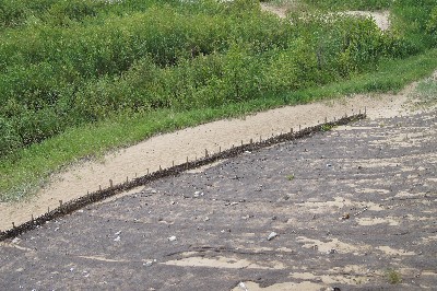 Ива́нов день (ночь на Ивана Купалу) в Раннапунгерья. 2011