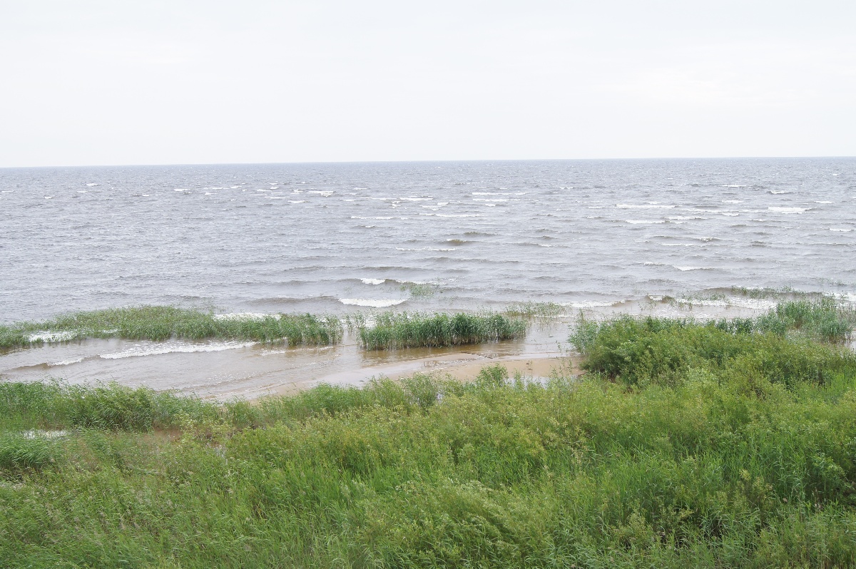 Вид с маяка вниз.  Ива́нов день (ночь на Ивана Купалу) в Раннапунгерья. 2011.