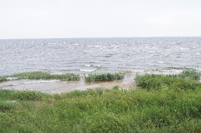 Ива́нов день (ночь на Ивана Купалу) в Раннапунгерья. 2011