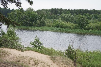 Ива́нов день (ночь на Ивана Купалу) в Раннапунгерья. 2011