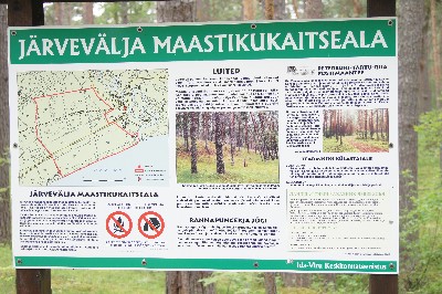 Ива́нов день (ночь на Ивана Купалу) в Раннапунгерья. 2011