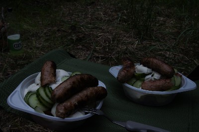 Ива́нов день (ночь на Ивана Купалу) в Раннапунгерья. 2011