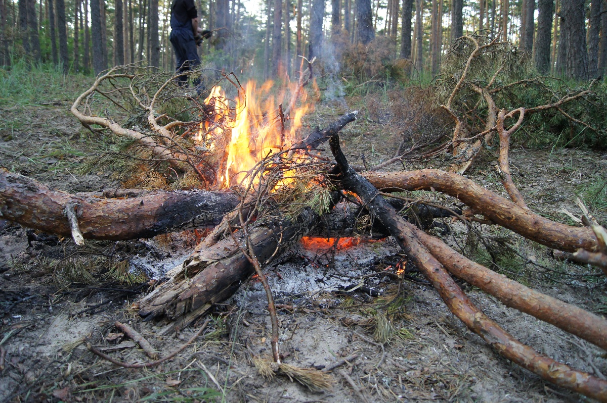 Костёр.  Ива́нов день (ночь на Ивана Купалу) в Раннапунгерья. 2011.