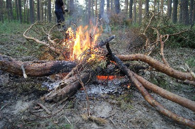 Ива́нов день (ночь на Ивана Купалу) в Раннапунгерья. 2011