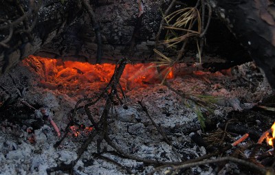 Ива́нов день (ночь на Ивана Купалу) в Раннапунгерья. 2011